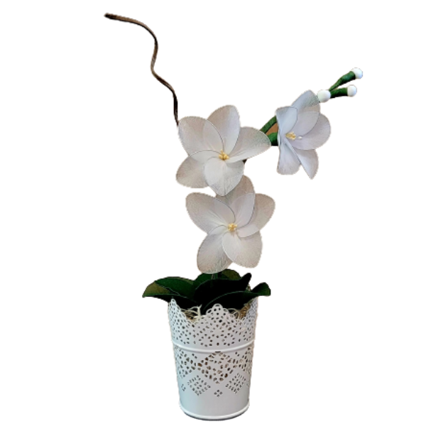 Orhideja iz najlona